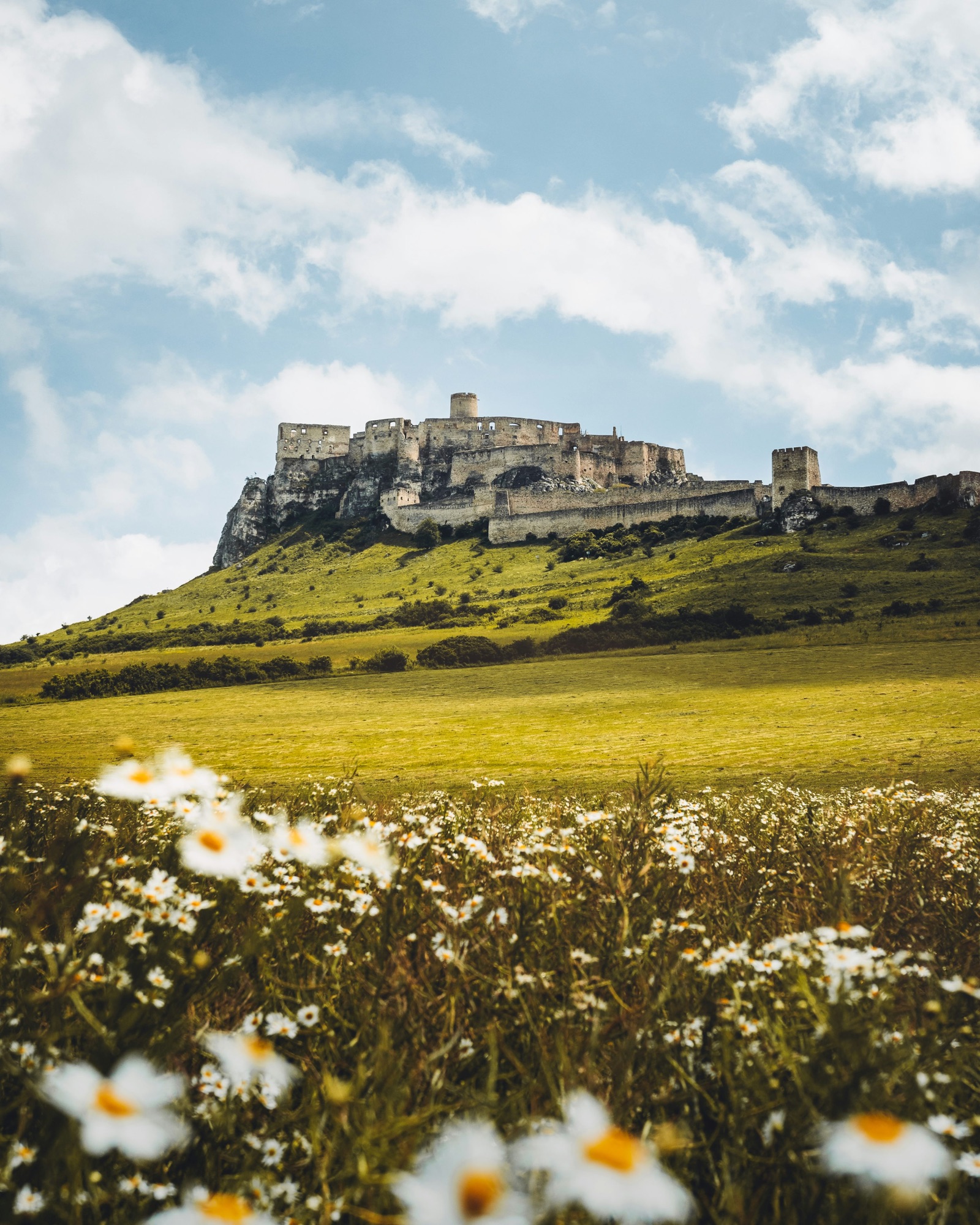 Hrad nad kvitnúcou lúkou